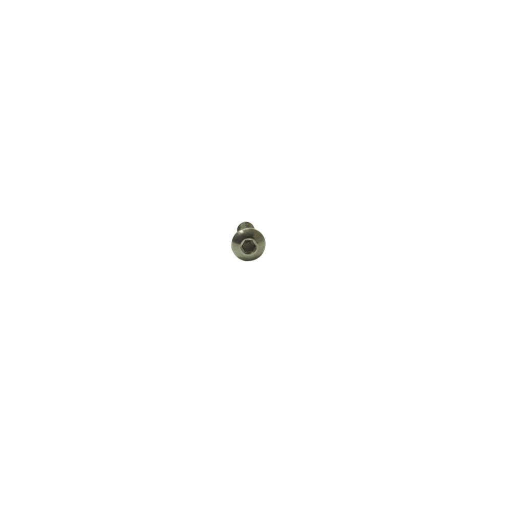 Screw M4 .07 x 10 Button Head Socket Cap Screw SST Screw M4 .07 x 10 Button Head Socket Cap Screw SST
