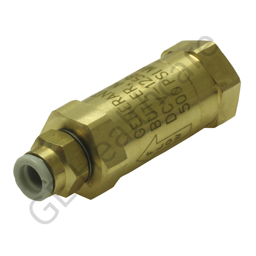 Check Valve with Filter and Straight Push Connect Fitting