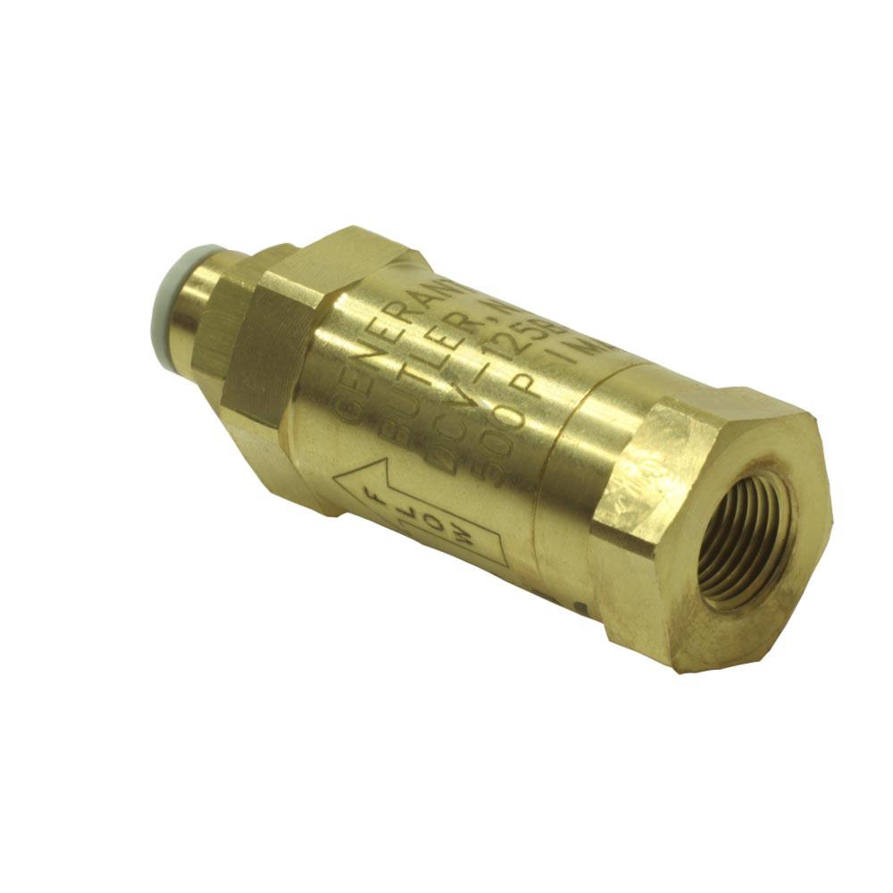 Check Valve with Filter and Straight Push Connect Fitting Check Valve with Filter and Straight Push Connect Fitting