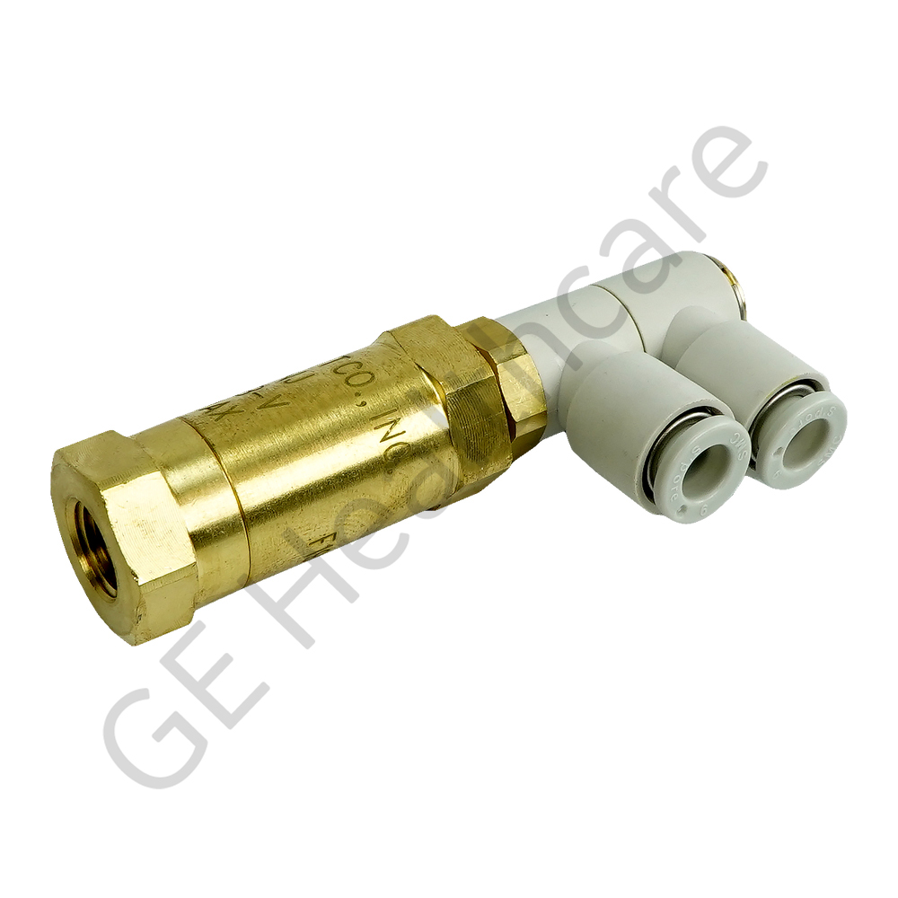 Check Valve with Filter and Elbow Push Connect Fittings